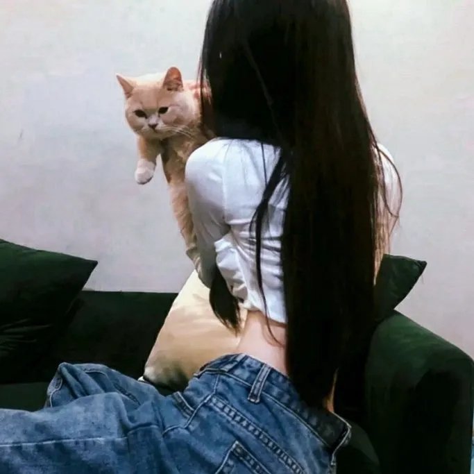 灵探特莱丝